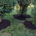 Mulching done for another year by rhoing