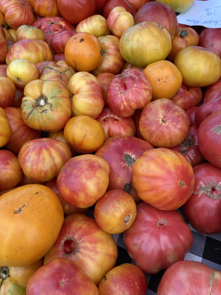 farmer’s market tomatoes  by wiesnerbeth