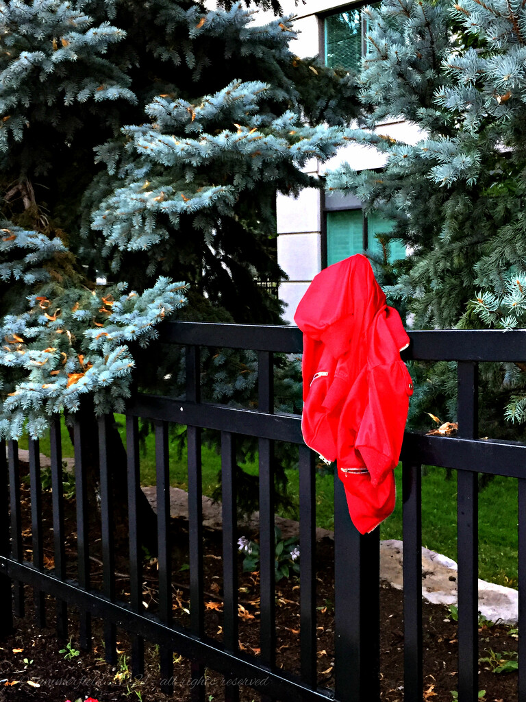 anyone missing a red jacket? by summerfield