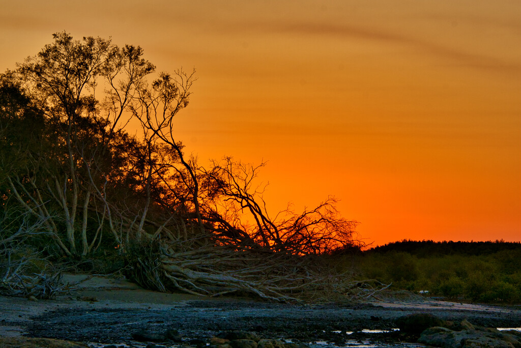 Sunset At The Creek DSC_7371 by merrelyn