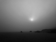 19th Jul 2021 - Through the mist