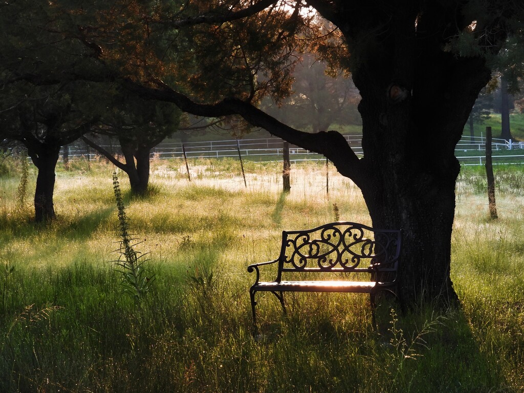 Bench by janeandcharlie