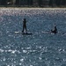 Paddle boarders at Manly by johnfalconer