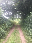16th Aug 2021 - A country walk