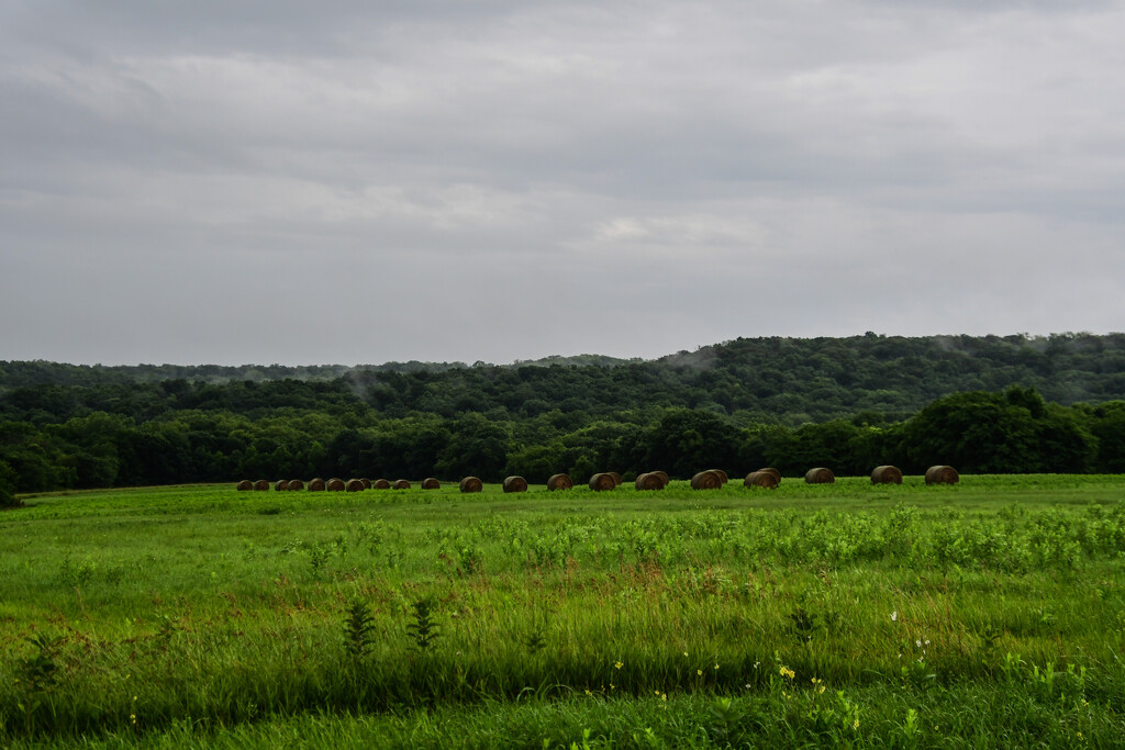 A Row of Bales in the Distance by kareenking