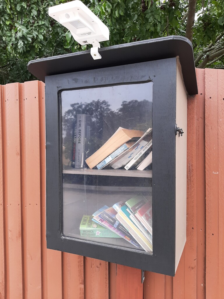 Free Little Library  by mozette