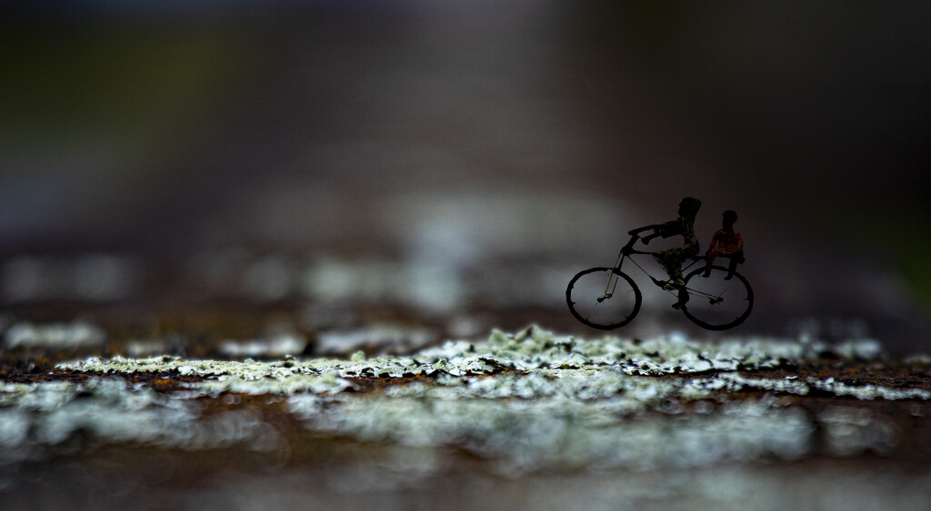 Bike on log by suez1e