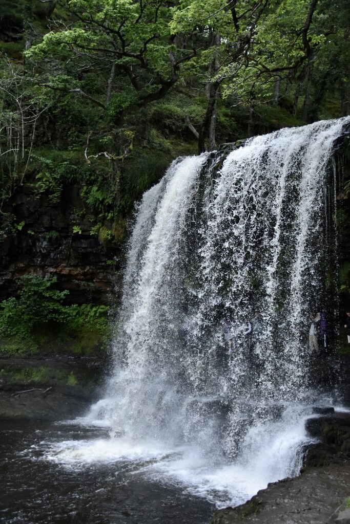 Sgwd-yr-Eira Waterfall by wakelys