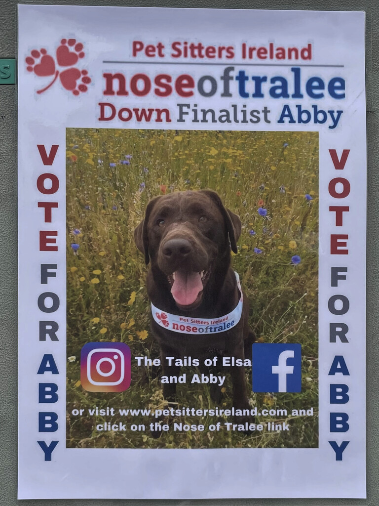 2021-08-18 Nose of Tralee by cityhillsandsea