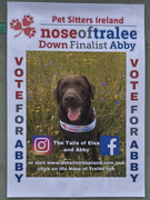 18th Aug 2021 - 2021-08-18 Nose of Tralee