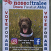 2021-08-18 Nose of Tralee by cityhillsandsea