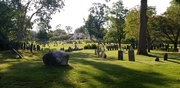 18th Aug 2021 - The Olde Burial Ground