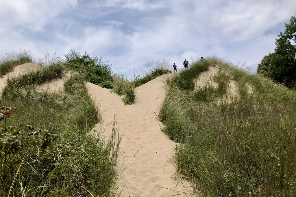 Climbing the dunes by vera365