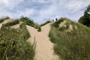 18th Aug 2021 - Climbing the dunes