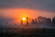 4th Jul 2021 - Early Morning Mist:  Matchedash Bay