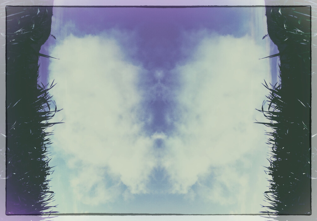 I've looked at clouds from both sides now by kali66