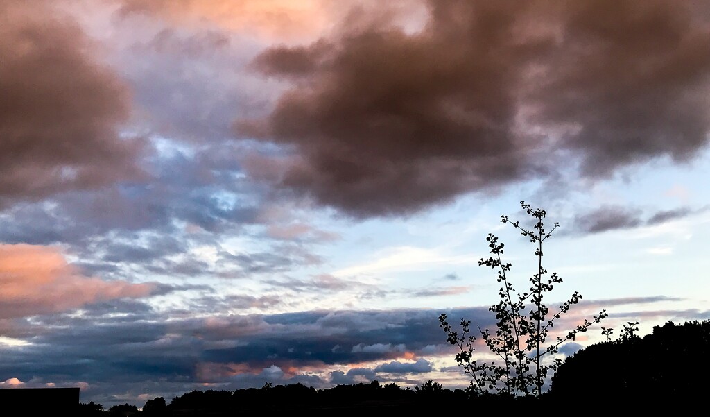 Last evening's sky by mittens