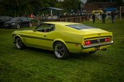 19th Aug 2021 - 1972 Mustang