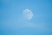 19th Aug 2021 - Transparent moon