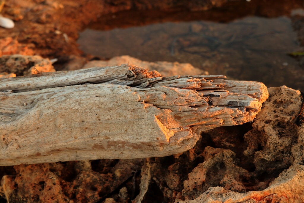 rock, water, wood by elza