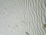 18th Aug 2021 - Sand wavelets texture