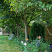 My Garden August 2021 by phil_sandford