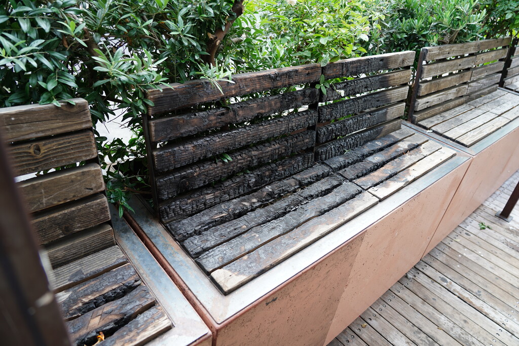Burnt bench by acolyte