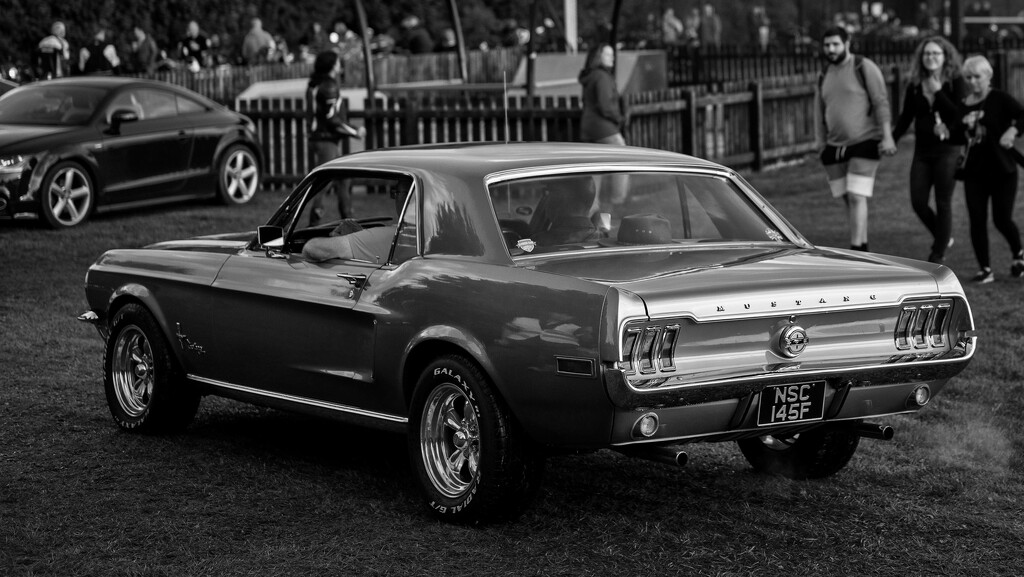 1968 Mustang by rjb71