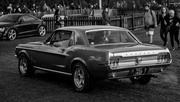 20th Aug 2021 - 1968 Mustang