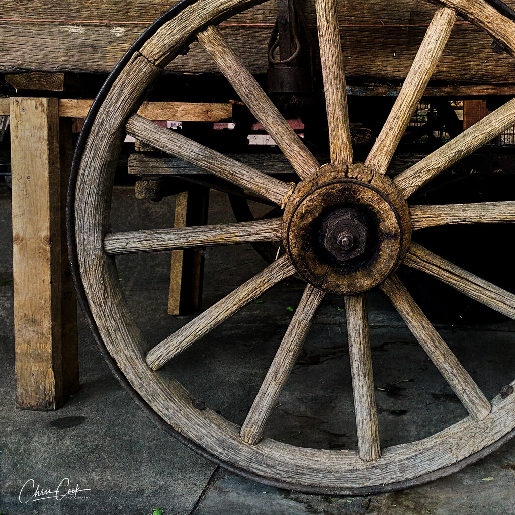 Wagon Wheel by cdcook48
