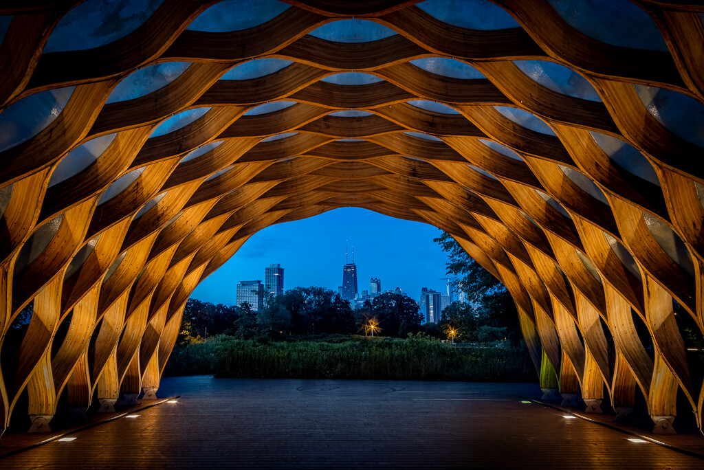 Chicago through the Honeycomb at Dawn by jyokota