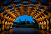 16th Aug 2021 - Chicago through the Honeycomb at Dawn