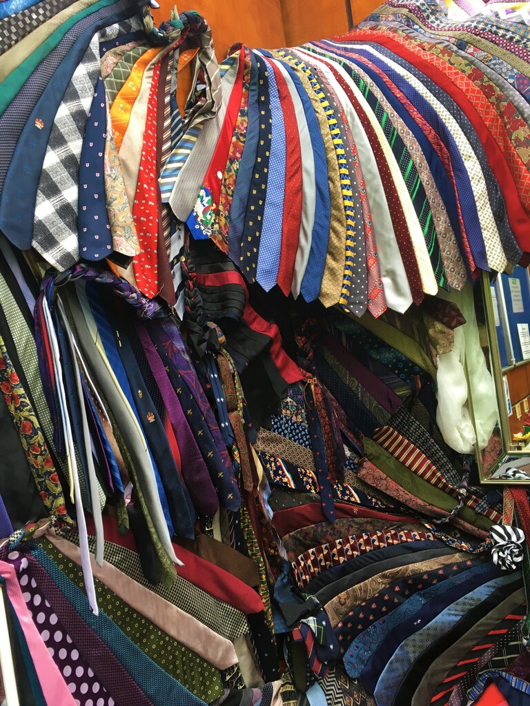 Ties galore! by 365anne