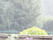 21st Aug 2021 - The day that the rains came down