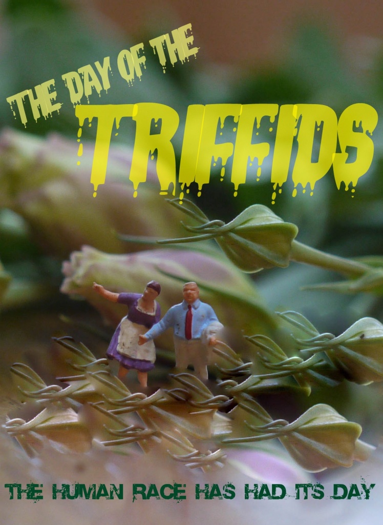 The Day of the Triffids by judithg
