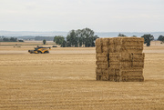21st Aug 2021 - Stack the Bales High