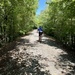 Riding the Frisco Greenway Trail by samae