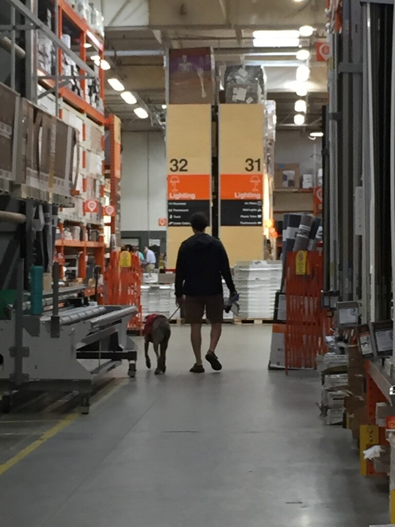 I've been know to take a dog in Home Depot by margonaut