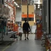 I've been know to take a dog in Home Depot by margonaut