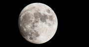 21st Aug 2021 - A Shot of Last Night's Moon!