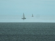 21st Aug 2021 - Sailboats in the sky