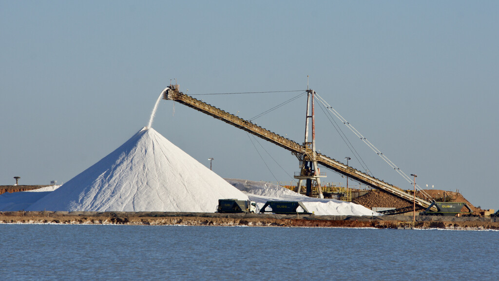 Anyone Care For Some Salt? DSC_7616 by merrelyn