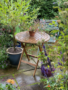 21st Aug 2021 - A Wet Day in the Garden