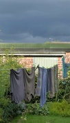 22nd Aug 2021 - Storm cloud washing. 