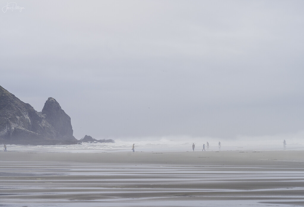 Digging for Razor Clams In the Fog by jgpittenger