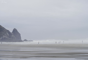 23rd Aug 2021 - Digging for Razor Clams In the Fog
