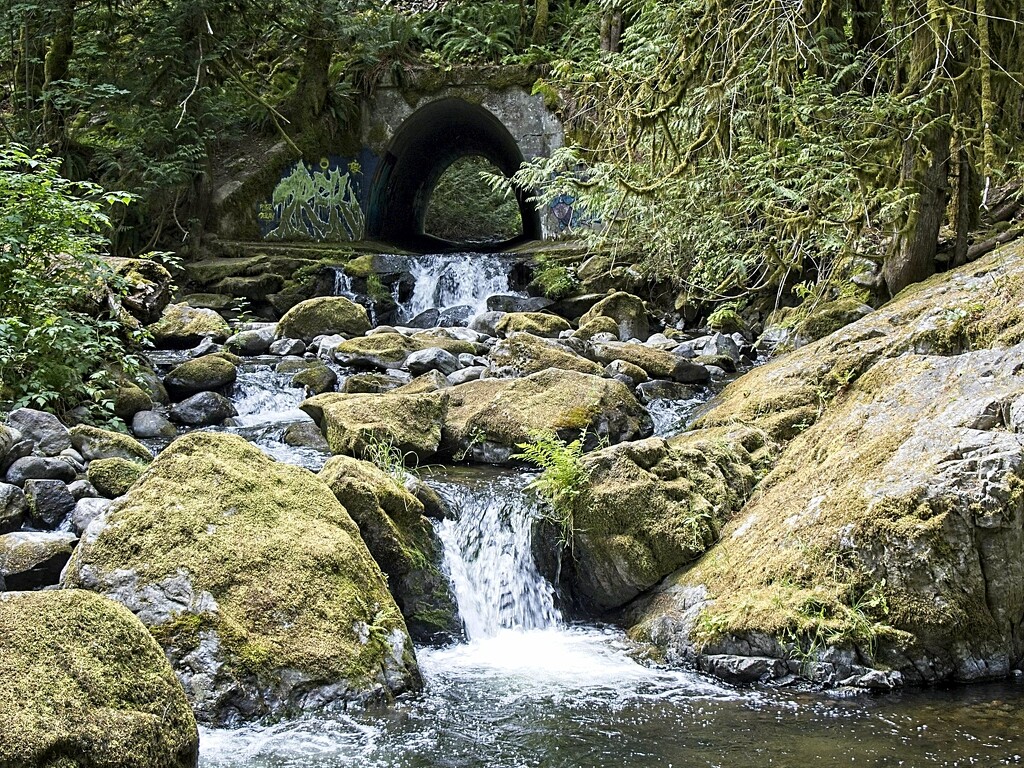 Goldstream River by mitchell304