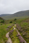 22nd Aug 2021 - HEADING INTO THE HILLS