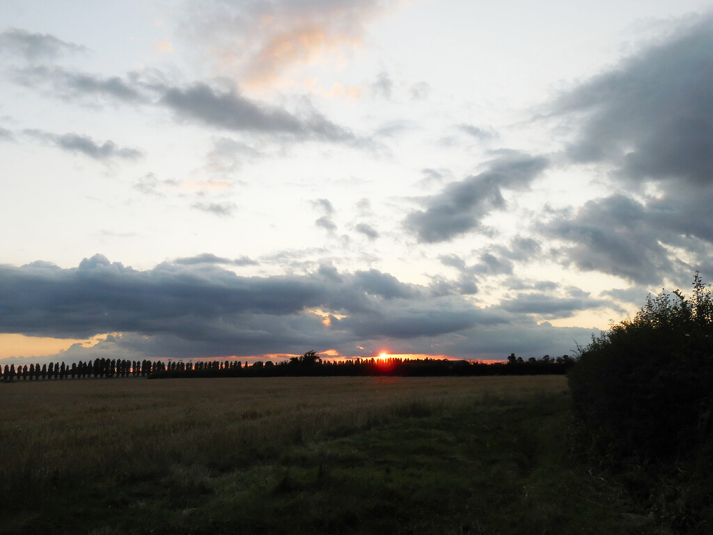 Across the fields to the sun by jon_lip