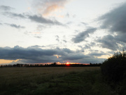 23rd Aug 2021 - Across the fields to the sun